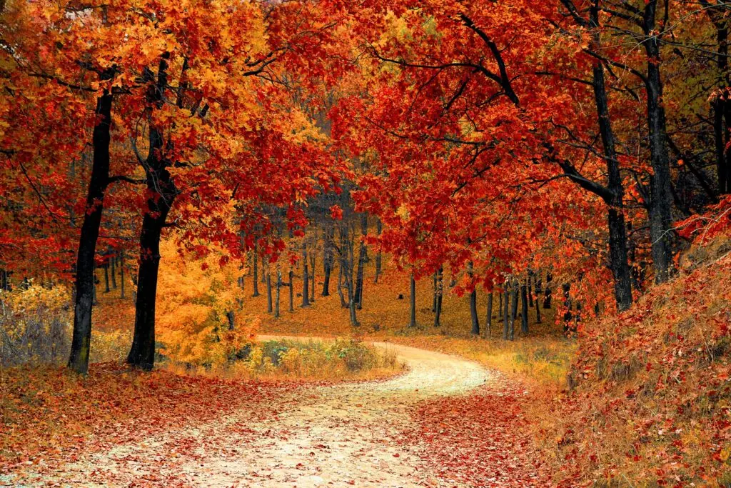 Autumn 2023 Newsletter