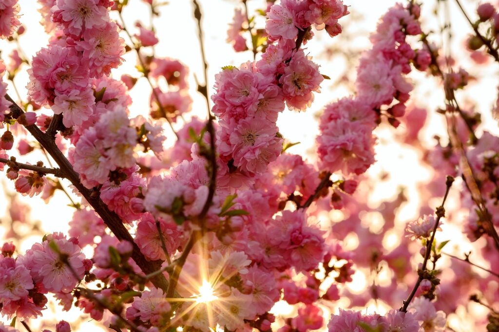 May 2026 Tax News